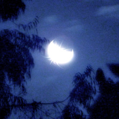 Joni Chiappe_Camina Con Sabanas II (1994)