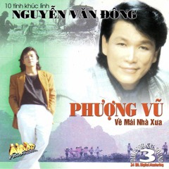 Hương Bưởi Nhà Em,nhạc: Phượng Vũ,ca sỹ: Thanh Tuyền