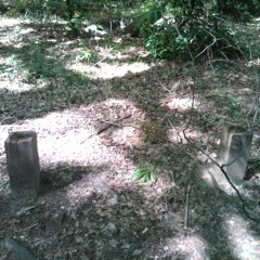 Old School Techno Tape 3 - "Martians...are coming"