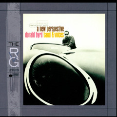 1 2 3 4, She Shot Me ideas