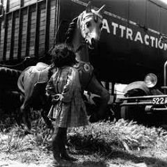 NSN - Gitane (Original)