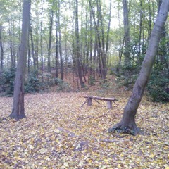 Old School Techno Tape 2 - "Strange foooorm"