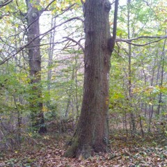 Old School Techno Tape 1 - "E.a.r. this !"