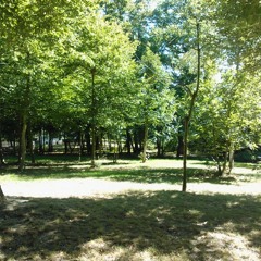 Old School Hardcore Techno Kdo Bonux : "Ondes vertes et jaunes"