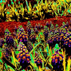 Love Flows (demo mix)