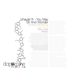 Vinayak^A - You May Sit And Wonder (Luke Porter Remix)