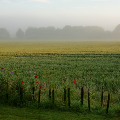 Turn your eyes upon Jesus (instrumental)