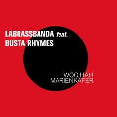 LaBrassBanda feat. Busta Rhymes - Woo Hah Marienkäfer - Remix by Maximi