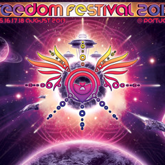 Freedom Festival 2013 Player