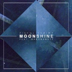Moonshine (BBC Introducing Radio Rip)
