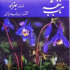 Behzad - Sobhe Sadat