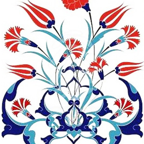 Tulipa
