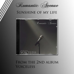 Sunshine of My Life (Instrumental)