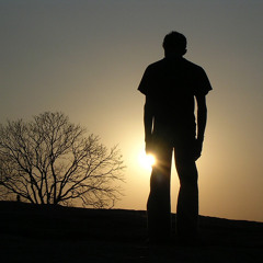 Ultimos Versos Dedicados a Voce (BETA)