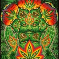 Tribal Seeds - Creator