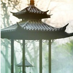 Bi Luo Huang Quan.mp4