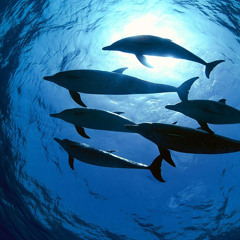 Early drinks @ Flo 02/15/2013