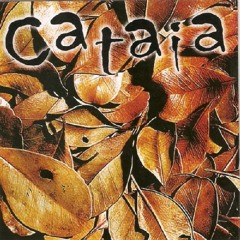 Vai Trabalhar Vagabundo