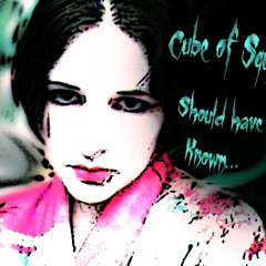 Cube of Squish - Should Have Known