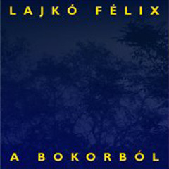 Lajko Félix - A bokorból - A bokorból / From the bush