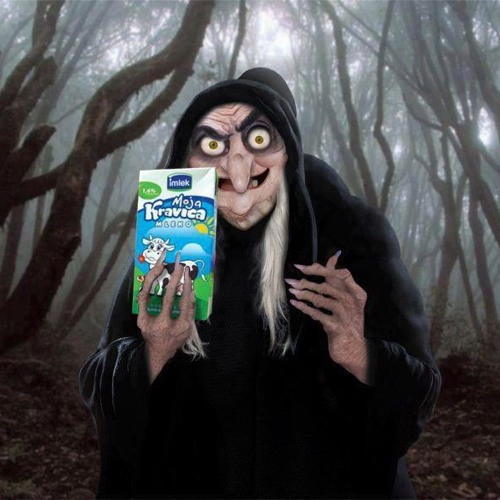 Shonky - The Minneapolis Touch