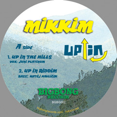 MikkiM ft. Juni Plainum - Up In the Hills