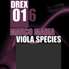 05_Marco.Madia_VIola Incognita