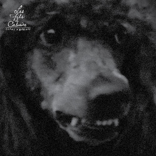 Les Fils du Calvaire - Femme d'Affaires - Acid Pauli remix