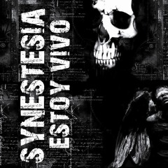 SYNESTES!A Hc punk - ADICCION O DIVERSION