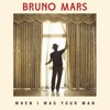 Bruno Mars - When I Was Your Man (Shizaru Remix)