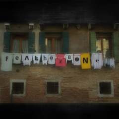 Can t Lie To Me - Featherbone