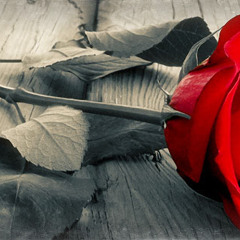 Mera Ishq......Quratulain Balouch