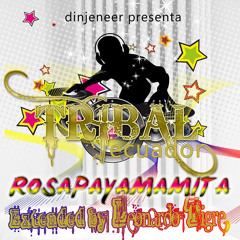 LdM ProDucEr feat Dinjeneer - Tribal Coraza Rosapayamamita (Xtd Intro Rmx by Leo Tiger)