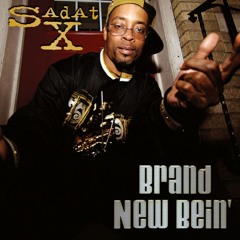 Sadat X from Brand Nubian_Punks Jump Up To Get Beat Down - I-Tonic Version