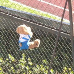 Bruno el Lobo & Leonay  [Los Catosexta] - La Hinchada del Carnaval [ Los Cruzados ]