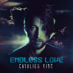 Cavalier King - Endless Love