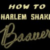 Baauer - Harlem Shake (Full Song 320 Kbps)