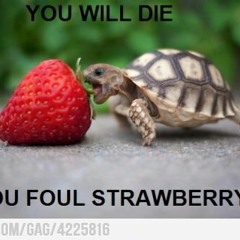 10 Confession nocturne SN.07