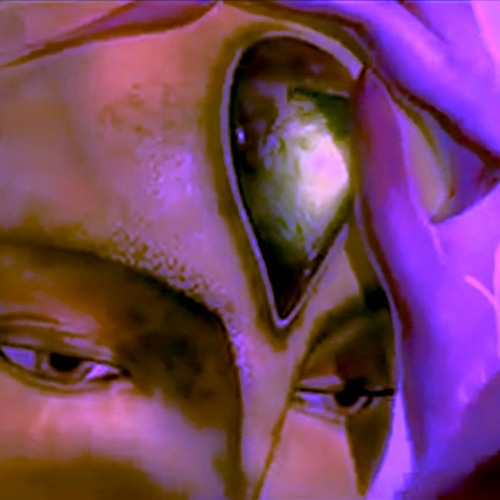 This Connection Is Tearing Me Apart (FluidXHardRemix)