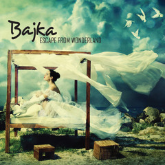 Bajkia - The Beaver's Lesson - Smoove Remix
