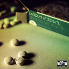 Landon Wordswell - Clip Those Wings ft. Lamb (prod. Thomas Prime)