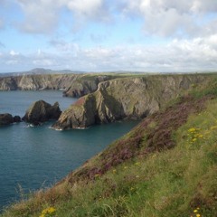 The Ocean Of Life - W J Tribe guitar harmonica vocals