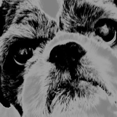 Thru Imp Punk (Rigsby's Mix)