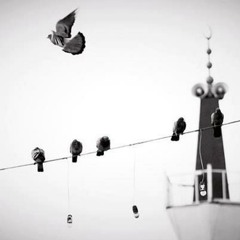 آلشِيخّ مَحمدّ آللحِيدآن - تلآوة خَآشعةّ