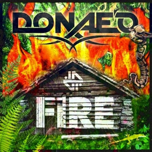 Donaeo - Fire (DJ Direct Official Remix)