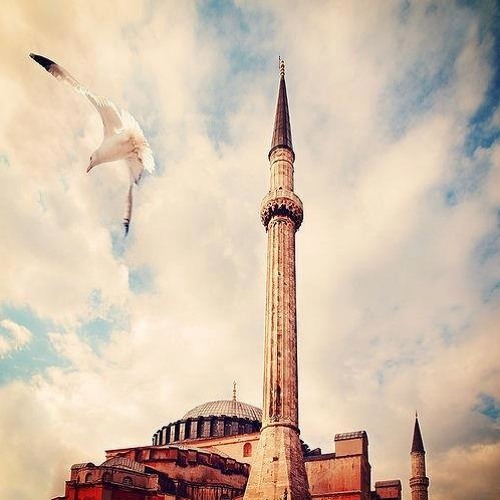 مَحمدّ آللحِيدآنّ - سُورة آلقيَآمةّ