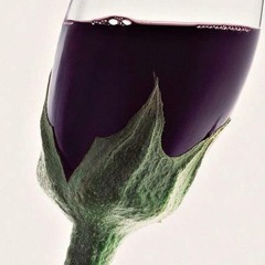 هنوزم چشمای تو مثه شبای پر ستاره ست ‎