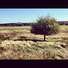 Dead River by Goody Boy