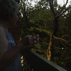 Throw Open the Window