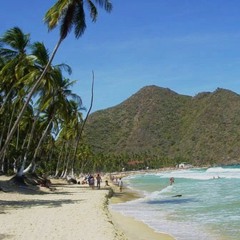 beach selections